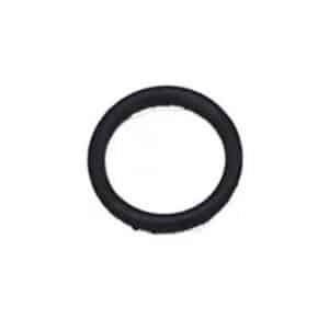 O-RING ANODE 804840010
